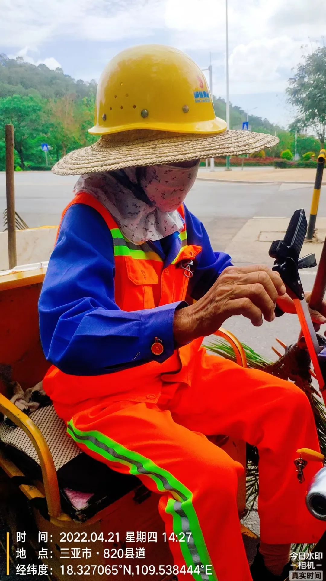圖片