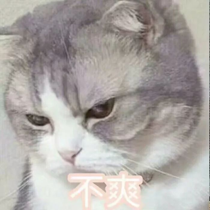 被甩45次才明白，这种女生千万别和她表白|小老弟血泪史(图9)