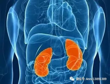 我们缺的不是金钱，而是健康的思想意识！讲得太对了！