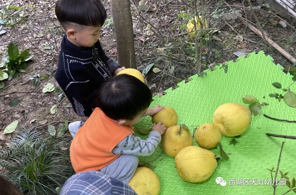 【课程故事】“柚”与你相遇