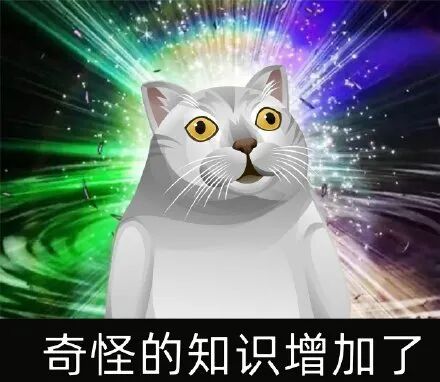 Mur猫表情包合辑 快来增加奇怪的知识 时尚临风 微信公众号文章阅读 Wemp