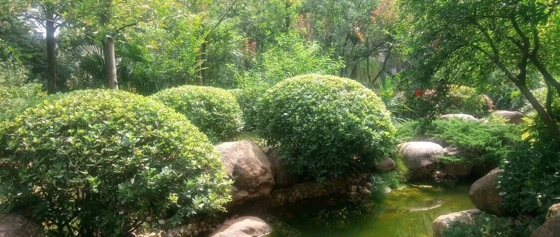大垸供销社：赵开琮奶奶与归国小重孙