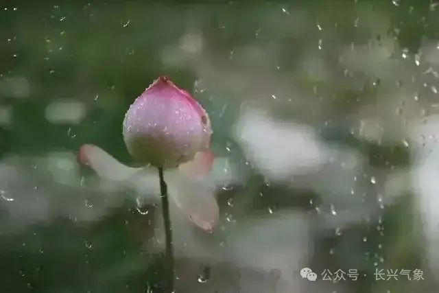 2024年07月01日 乐东天气