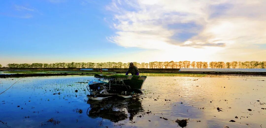 陉怎么读_陉通驾校摩托车驾照_用纱布包阴陉和女人玩