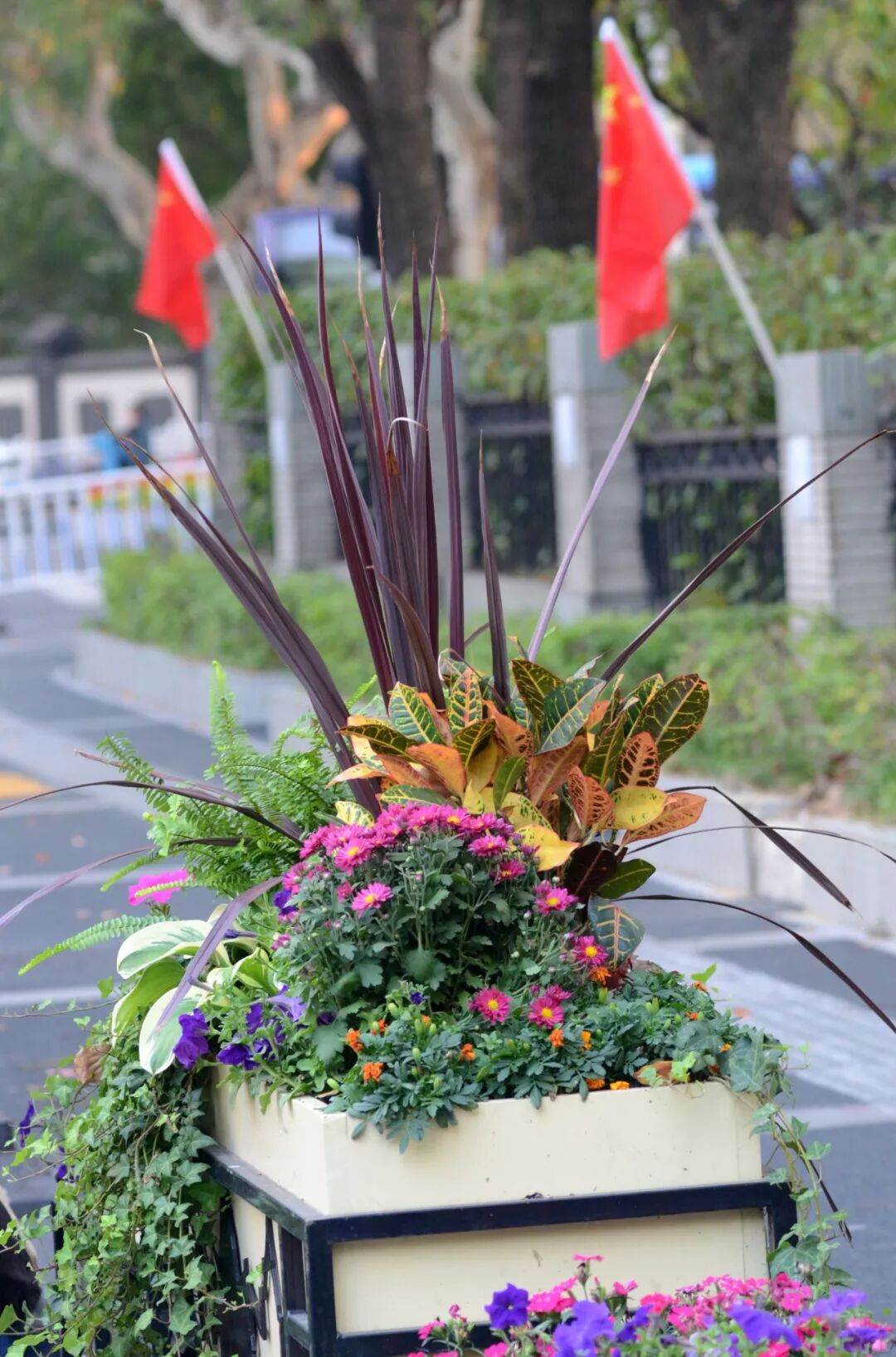 带上这份城市赏花图鉴 享受国庆假期最后的悠闲 之野知野 微信公众号文章阅读 Wemp