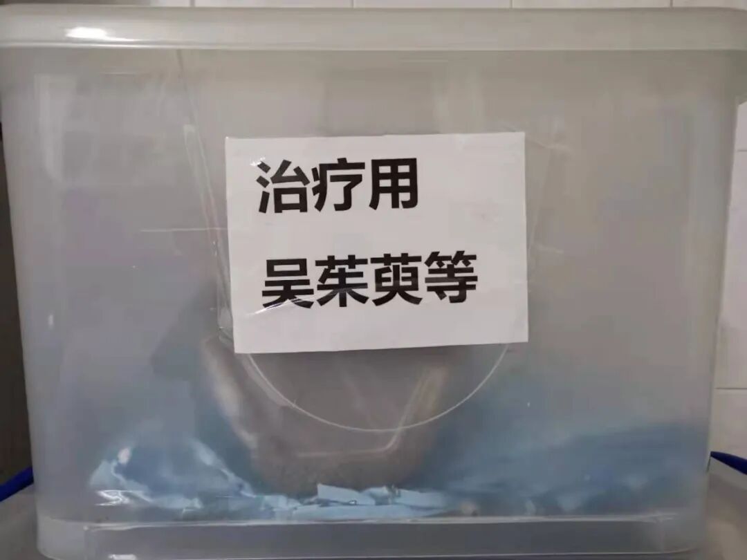 中药热奄包怎么蒸【中医妇科】小药包，大能量——吴茱萸热奄包！_https://www.jmylbn.com_新闻资讯_第21张