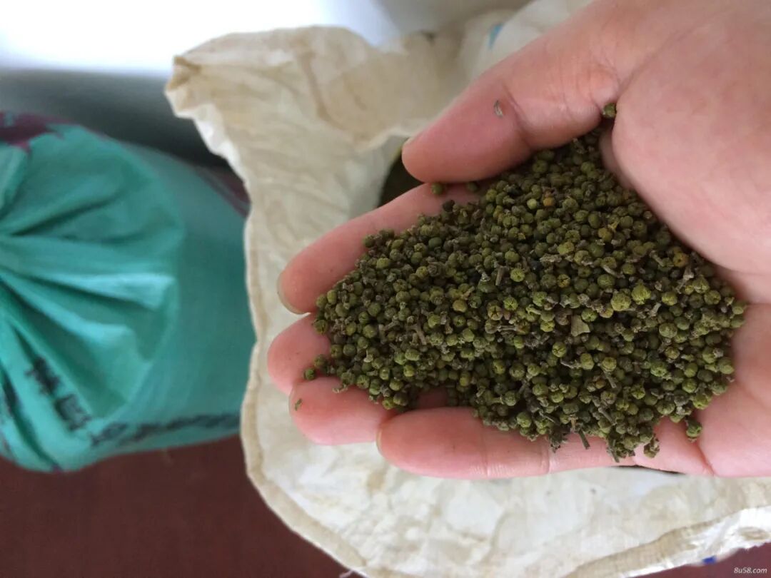 中药热奄包怎么蒸【中医妇科】小药包，大能量——吴茱萸热奄包！_https://www.jmylbn.com_新闻资讯_第6张