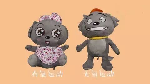 十种简单无氧运动 运动简单分为“有氧运动”和“无氧运动”，你被这个说法忽悠多久了？