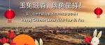 荷兰海牙市联合署祝您2023新春快乐、一路坦“兔”！