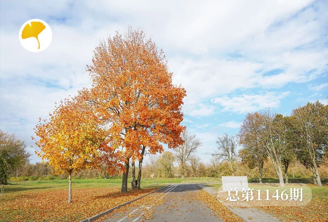 杏林早报秋天气血内收，容易掉头发！2个方法滋养头皮，防脱固发