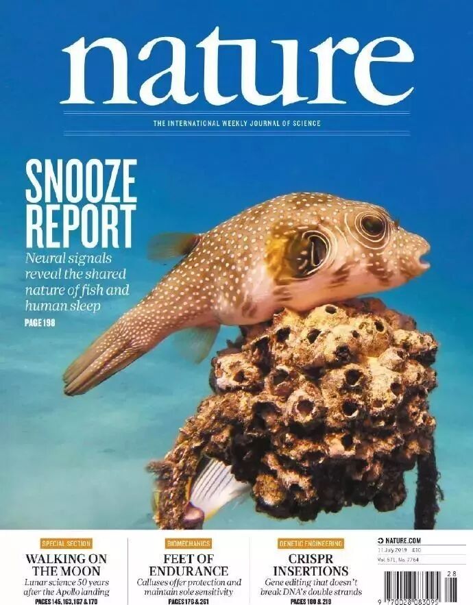 Nature 一周论文导读 环球科学 科学美国人 中文版 唯一官方网站