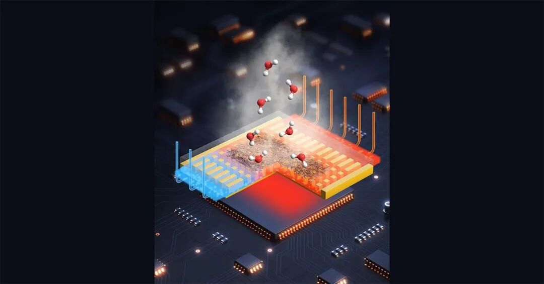 自然重磅改革审稿意见与研究论文同步发表打破发论文黑箱  科研圈日报-期刊+