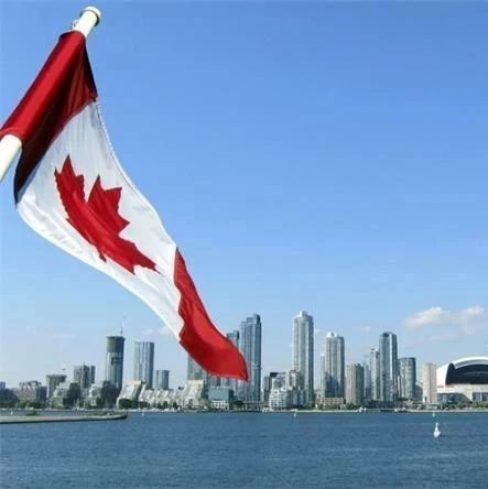移民部预测:2020年加拿大移民顶级需求职位