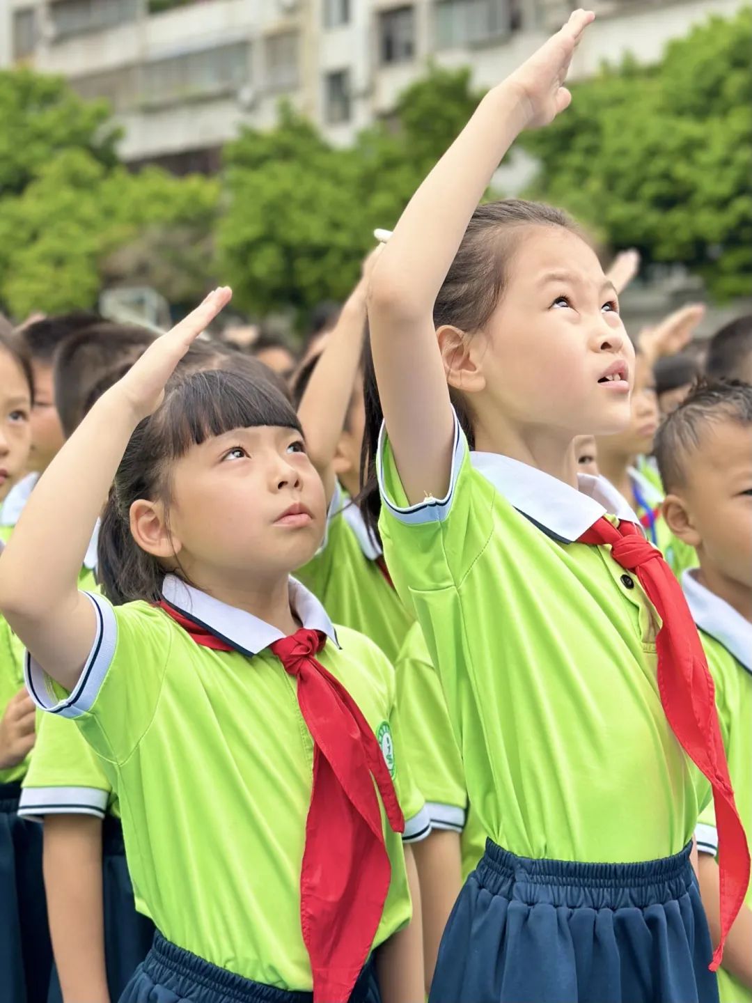 建设路小学图片