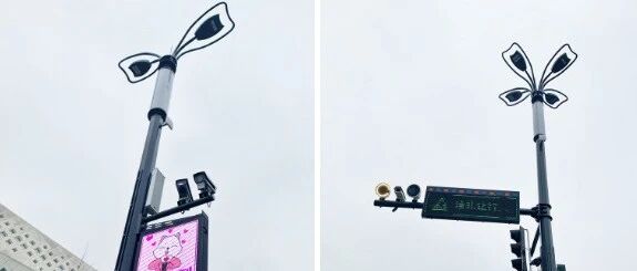 灯~等灯等灯~ 南京这里的路灯有“最强大脑”