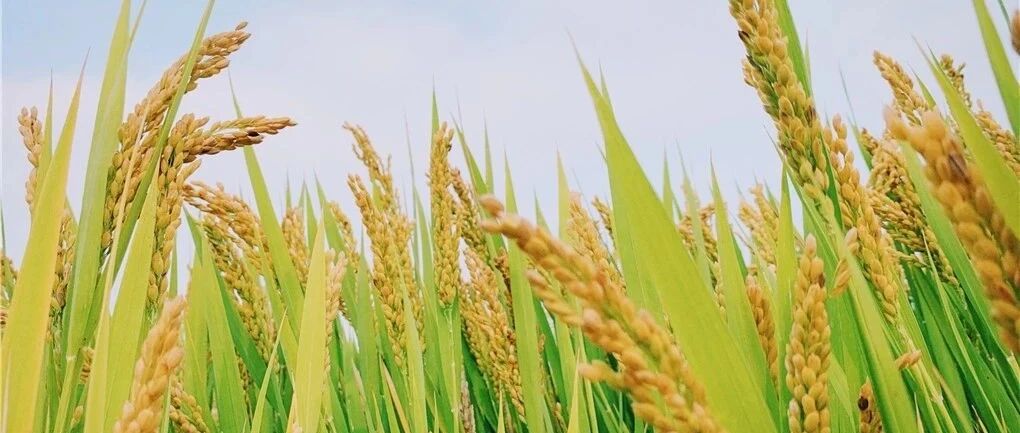 9月22日，来这里吃喝玩乐！