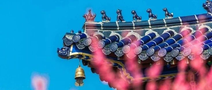 惊艳！南京又上央视了