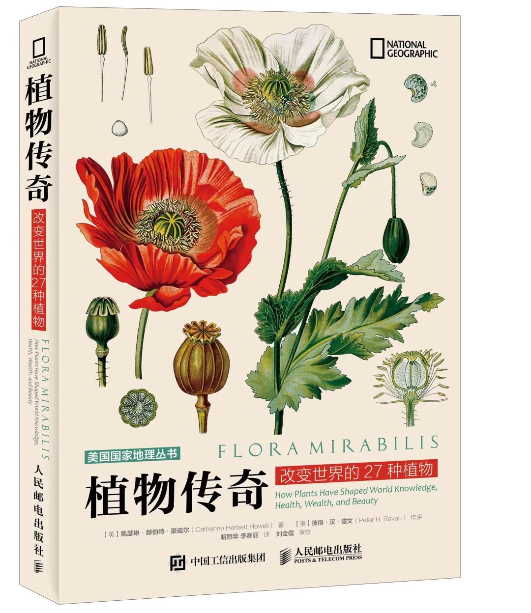 你，我，世间万物都不平凡