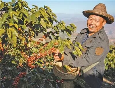 精品咖啡吧__国内精品咖啡