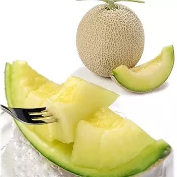 日本品种哈密瓜醇蜜一级36元vip345元1个约25斤