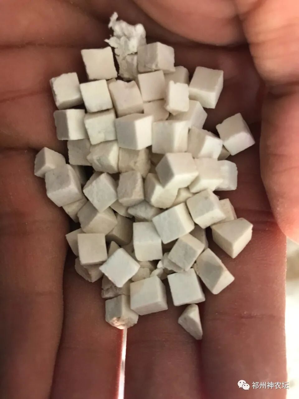 茯苓图片，茯苓类商品有哪些和怎么分辨