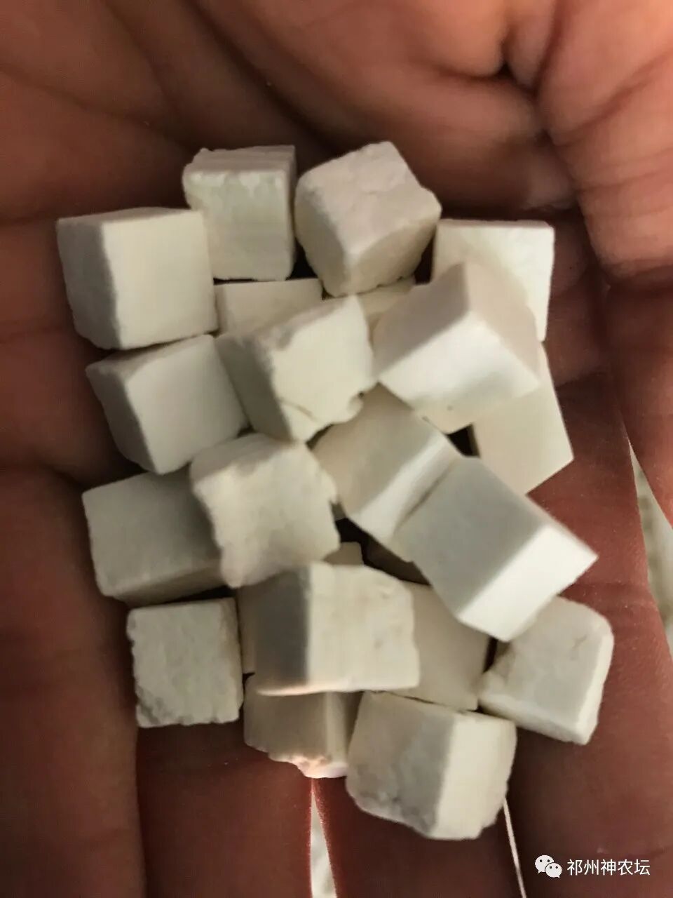 茯苓图片，茯苓类商品有哪些和怎么分辨