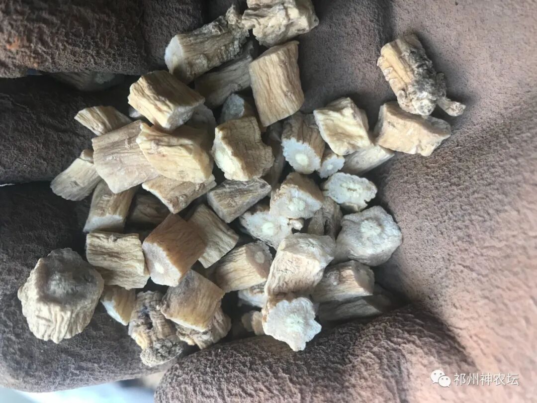 桔梗科党参属中药有几种？桔梗与党参是一样的吗