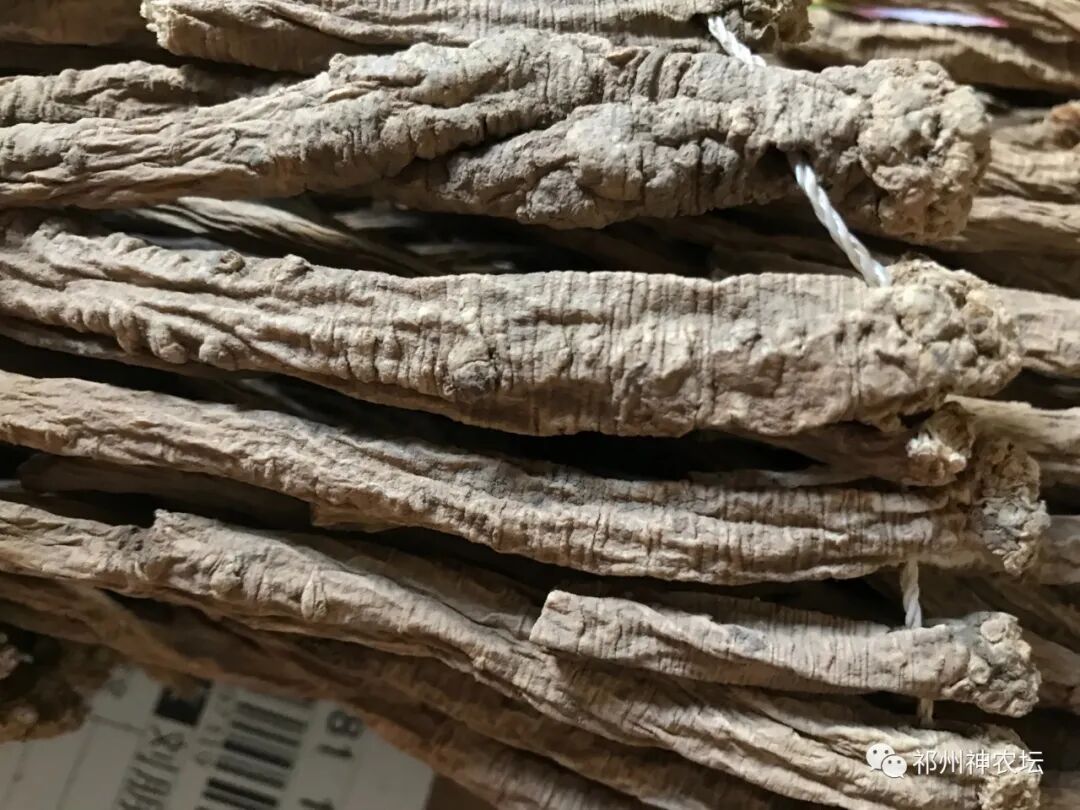 桔梗科党参属中药有几种？桔梗与党参是一样的吗