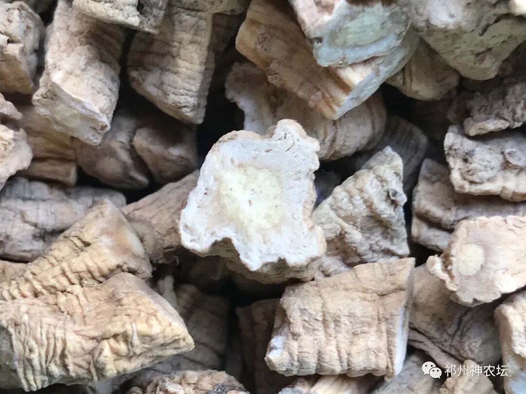 桔梗科党参属中药有几种？桔梗与党参是一样的吗