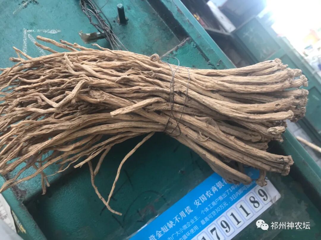 桔梗科党参属中药有几种？桔梗与党参是一样的吗