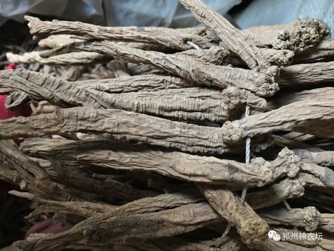 桔梗科党参属中药有几种？桔梗与党参是一样的吗