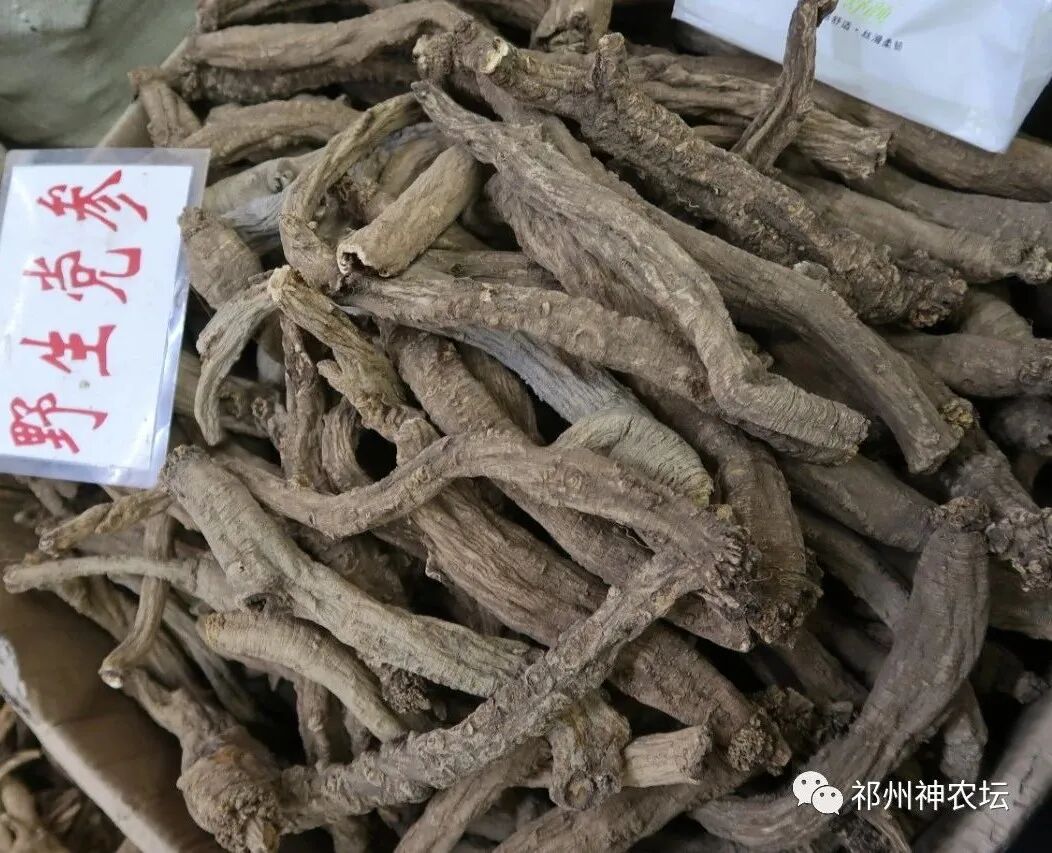 桔梗科党参属中药有几种？桔梗与党参是一样的吗