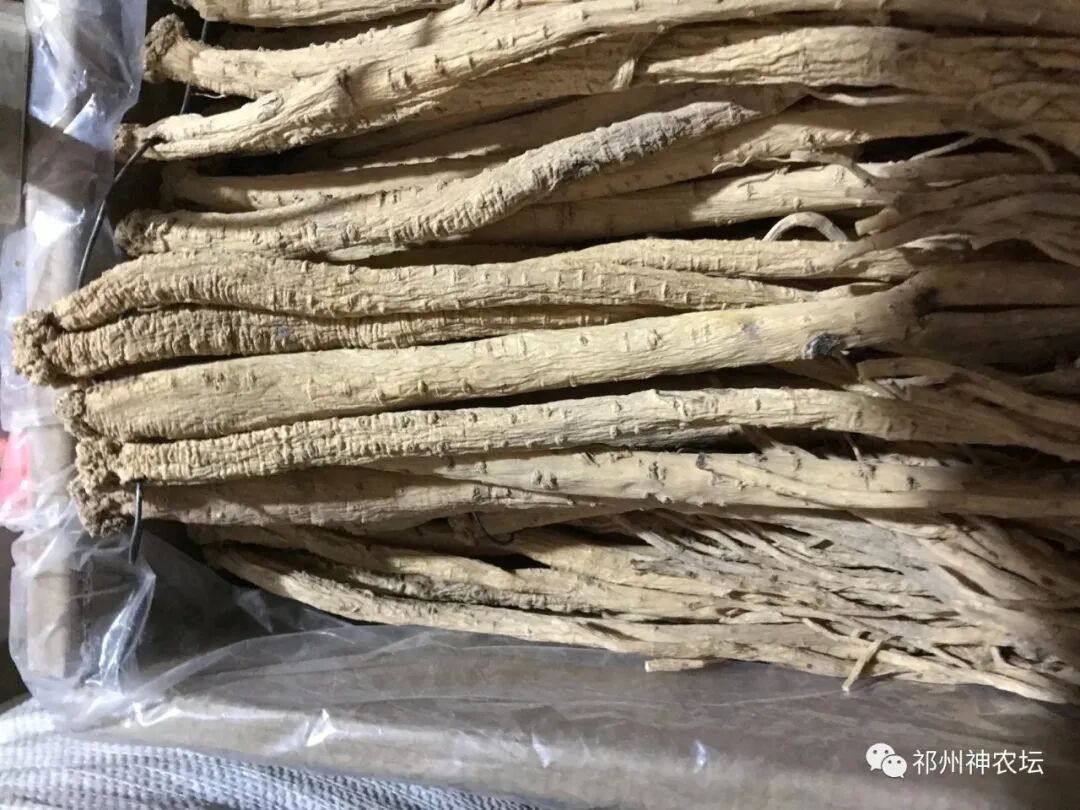 桔梗科党参属中药有几种？桔梗与党参是一样的吗