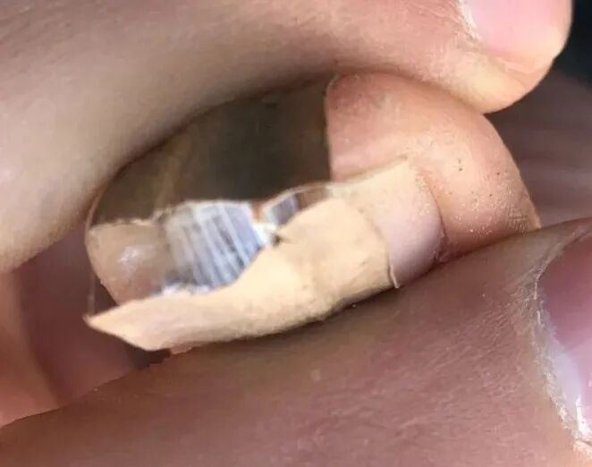 杜仲的功效与作用与主治有哪些？来自孑遗植物的腰痛要药