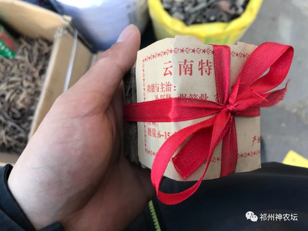 杜仲的功效与作用与主治有哪些？来自孑遗植物的腰痛要药