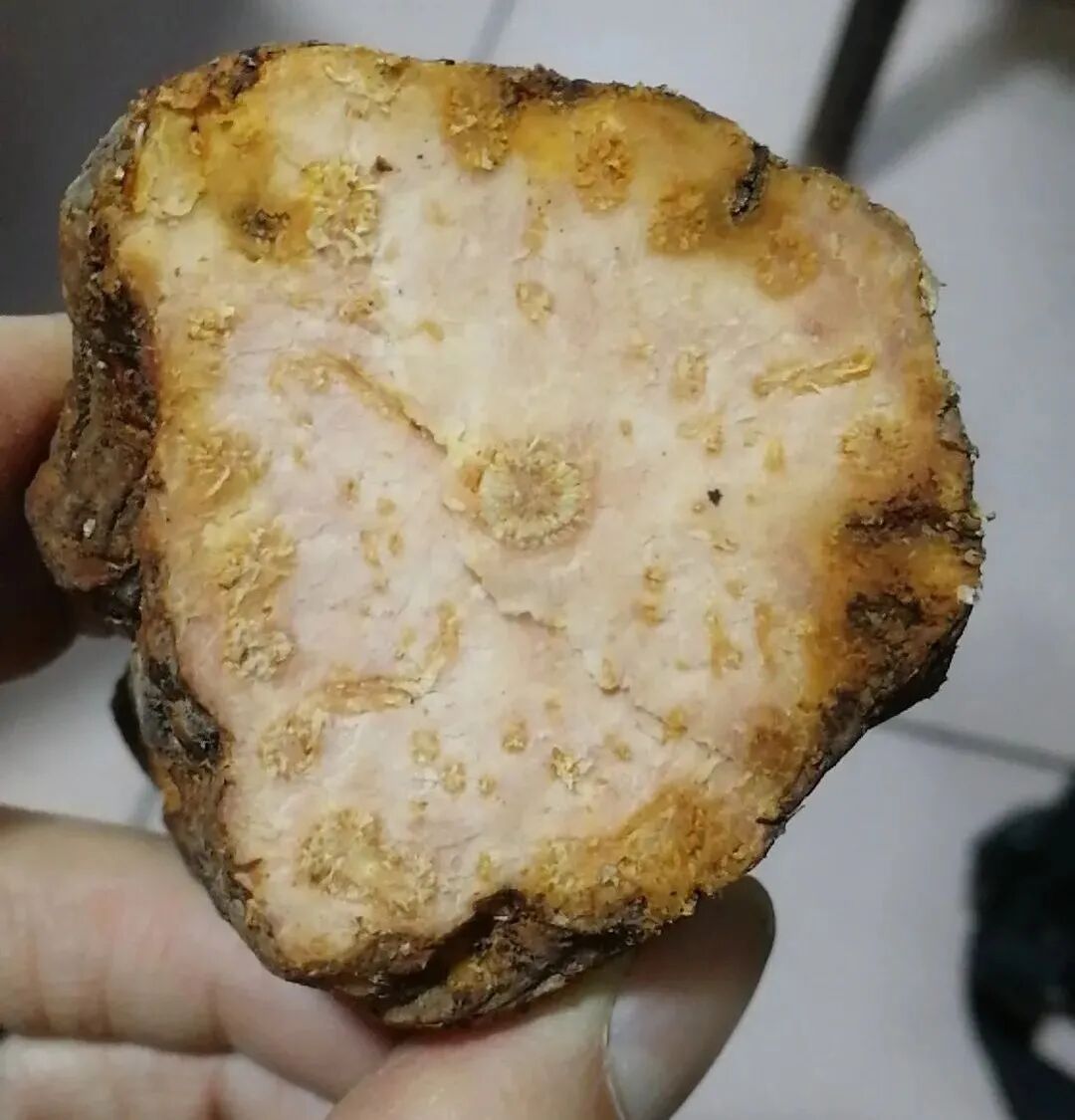 何首乌的样子图片？何首乌是云锦花纹还是左旋右旋？