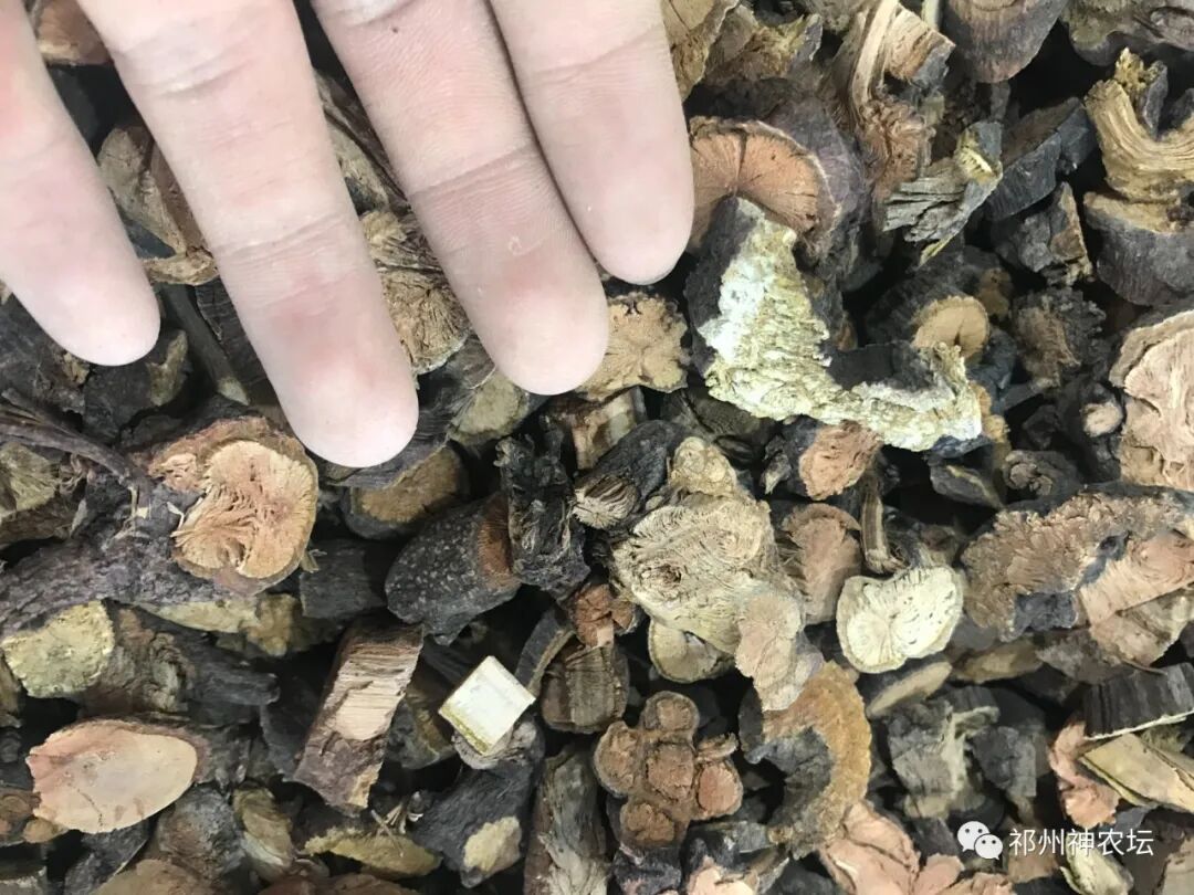 何首乌的样子图片？何首乌是云锦花纹还是左旋右旋？