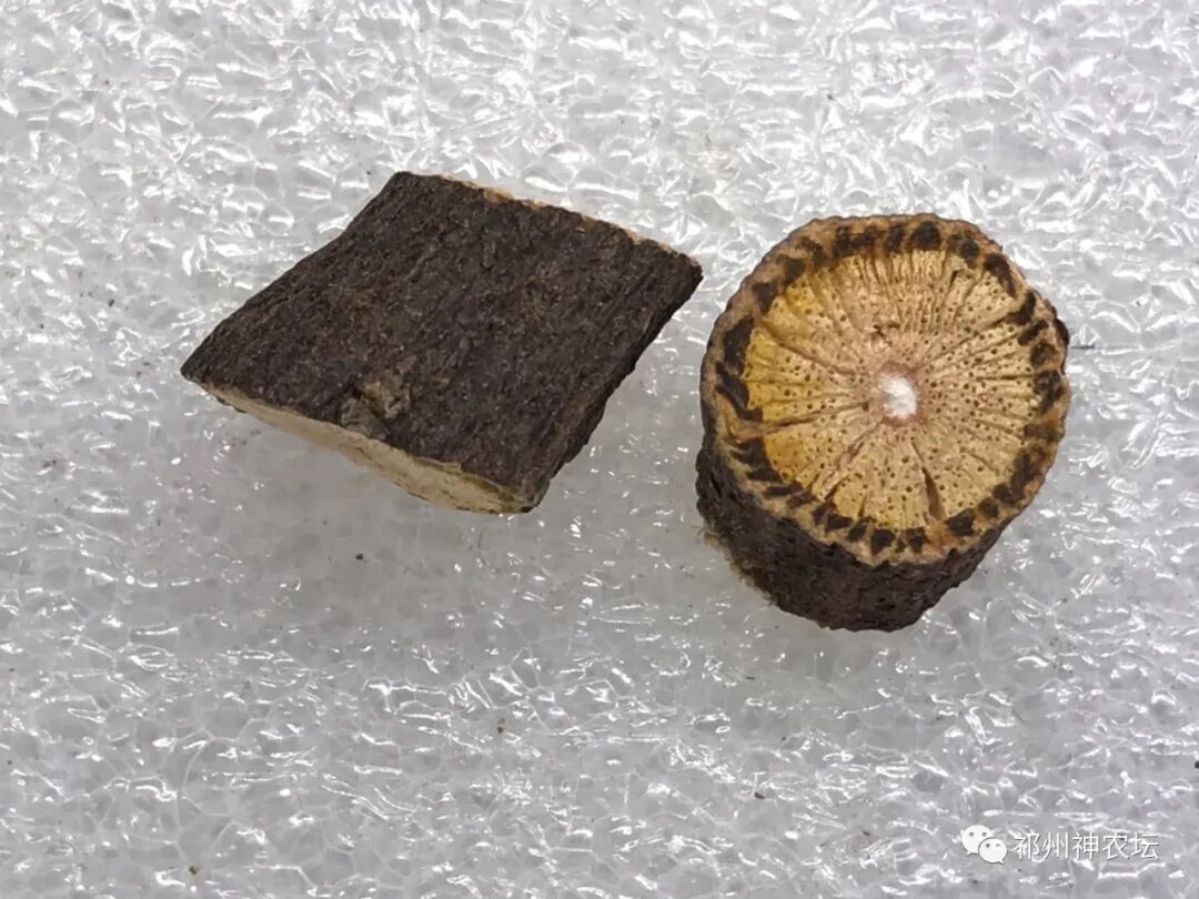 何首乌的样子图片？何首乌是云锦花纹还是左旋右旋？