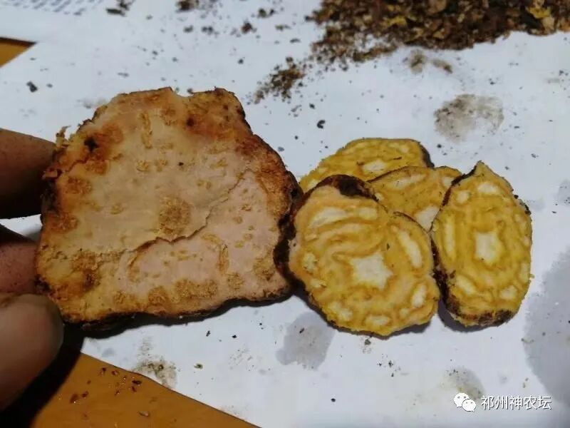 何首乌的样子图片？何首乌是云锦花纹还是左旋右旋？