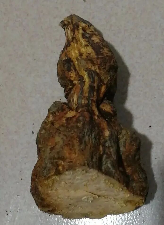 何首乌的样子图片？何首乌是云锦花纹还是左旋右旋？