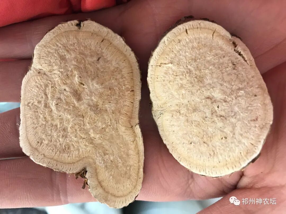 何首乌的样子图片？何首乌是云锦花纹还是左旋右旋？