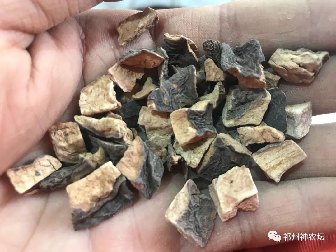 何首乌的样子图片？何首乌是云锦花纹还是左旋右旋？