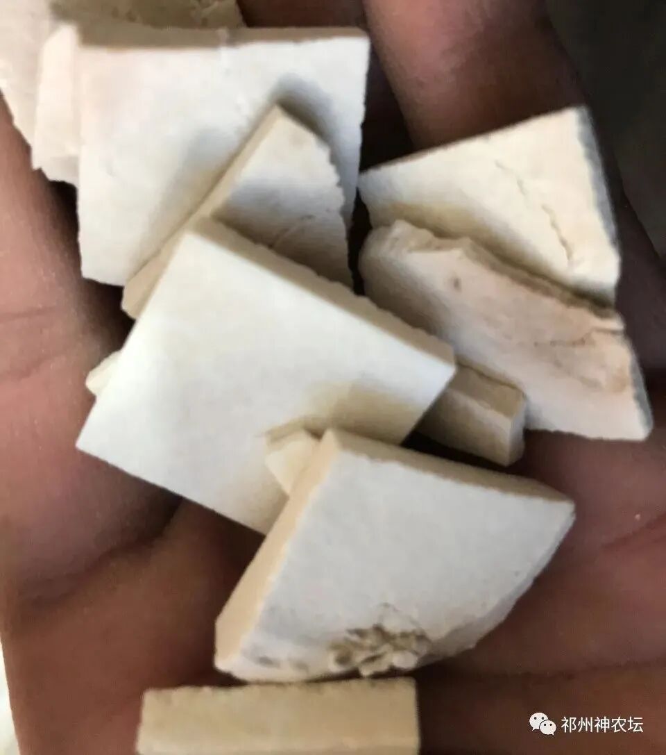 茯苓图片，茯苓类商品有哪些和怎么分辨