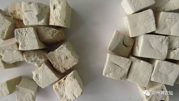 茯苓图片，茯苓类商品有哪些和怎么分辨