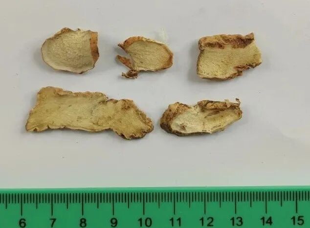 西陵知母产地在哪？河北道地药材西陵知母来历