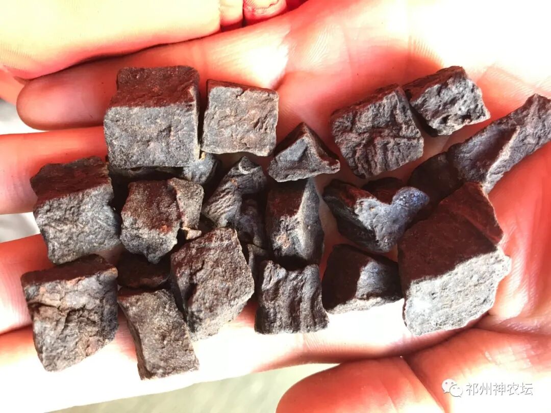 何首乌的样子图片？何首乌是云锦花纹还是左旋右旋？