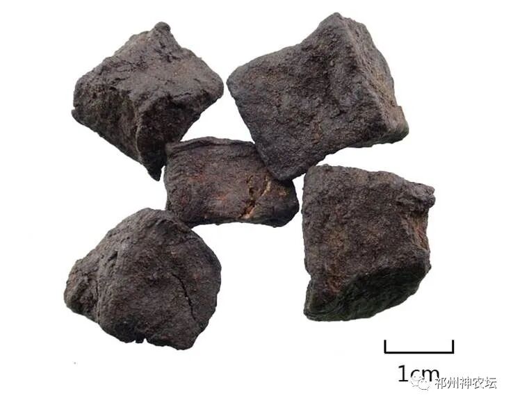 何首乌的样子图片？何首乌是云锦花纹还是左旋右旋？