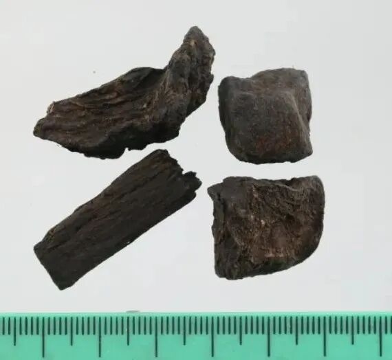 何首乌的样子图片？何首乌是云锦花纹还是左旋右旋？