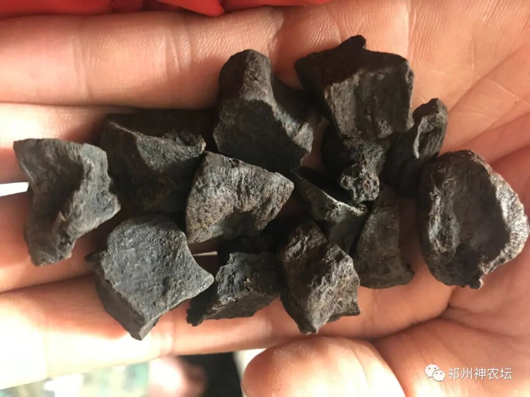 何首乌的样子图片？何首乌是云锦花纹还是左旋右旋？