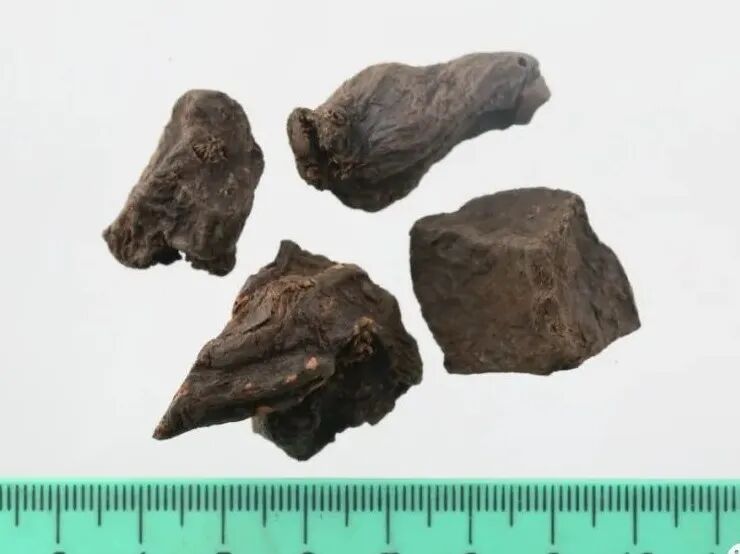 何首乌的样子图片？何首乌是云锦花纹还是左旋右旋？